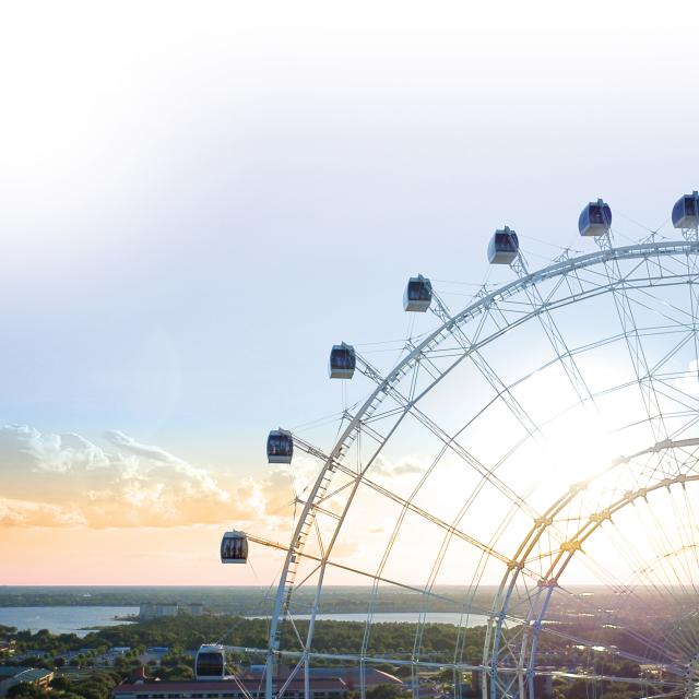 The Wheel ICON Park