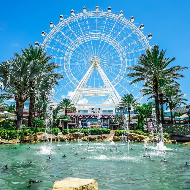 The Wheel at ICON Park