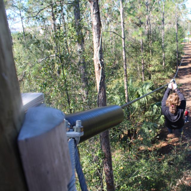 Women on a zip line at Orlando Tree Trek