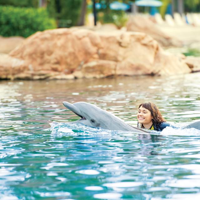 Discovery Cove woman riding dolphin