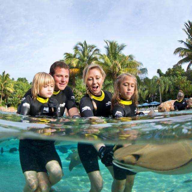A family touching a stingray at Discovery Cove® The Grand Reef