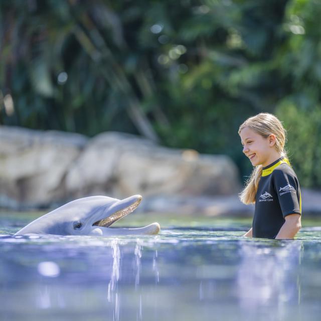 A girl swimming with a dolphin at Discover Cove