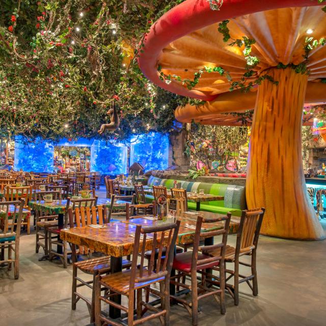 Rainforest Cafe at Disney's Animal Kingdom® interior