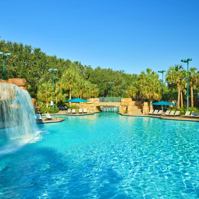 Walt Disney World Swan and Dolphin Resort grotto pool