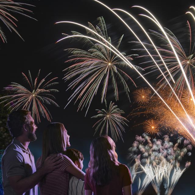 A family watching a fireworks show over Orlando.