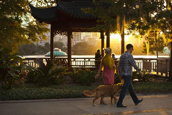 A couple walking their dog along Lake Eola with the fountain in the background